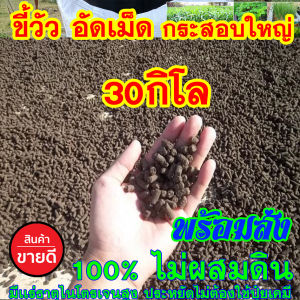 ยกกระสอบ ขี้วัวอัดเม็ด 30โล ขี้วัวนมแท้ ระเบิดราก ไม่มีดินปน ไม่มีโซดาไฟ ไม่มีสารเคมี ปลอดภัย