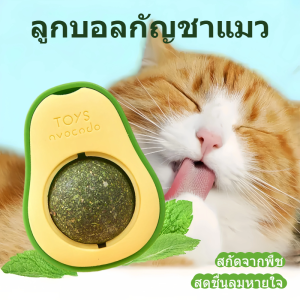 กัญชาแมวอะโวคาโด ออร์แกนิค ลูกบอลแมว แคทนิป ของเล่นแมว บอลแบบเลีย แมว กัญชาแมว หญ้าแมว กันชาแมว กัญชาเเมว แคทนิปแมว