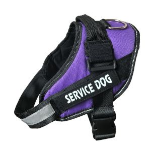 2026 Hot Sale [ Shipped from China ]SERVICE DOGleash for large dogs Golden Retriever K9 Dog harness dog leash dog walking rope B3
