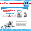 Royal Canin Starter Mother&babydog MINI และ MEDIUM รอยัลคานินอาหารสุุนัข แม่สุนัขตั้งท้อง ให้นม และลูกสุนัข ขนาด 1 kg. 