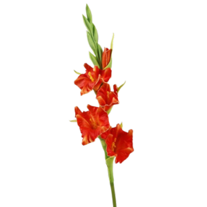 CUNXIN PU Artificial Gladiolus Branches Floral Art Real Touch Fake Flowers DIY Vase Decor Handmade Simulation Gladiolus Flower Holiday Party Decor
