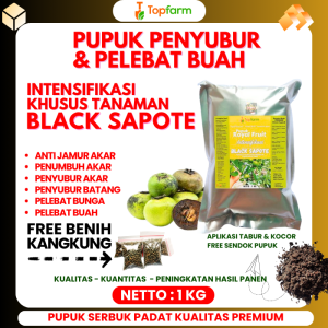 Pupuk Black Sapote / Pupuk Pohon Black Sapote / Pupuk Pembesar Buah Black Sapote / Pupuk Khusus Tanaman Buah Black Sapote / Pupuk Sapote