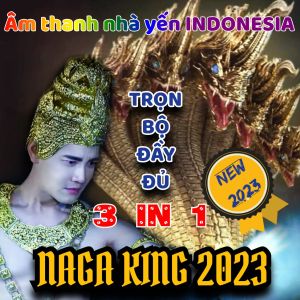 ÂM THANH NHÀ YẾN NGOÀI TRỜI - NAGA KING 2023 - Âm ngoài thu hút chim yến hiệu quả