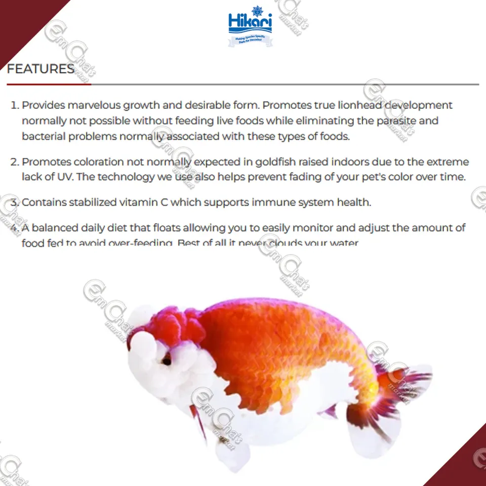 JUMBO 300g Hikari Oranda Gold from Japan (Mini Pellets) (ff) Goldfish Food  Oranda Fish Food Lionhead etc