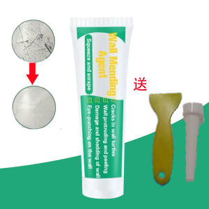 100g Multi-Purpose Wall Repair Compound - Home Use Patching Paste for Wall Cracks Holes and Paint Touch-ups