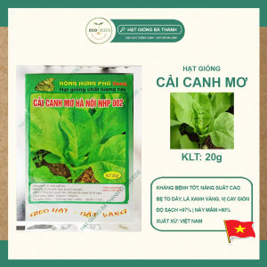 [EcoSeeds] Combo 2 Gói Hạt Giống Cải Canh Mơ Hà Nội (Cải Mơ Cải Canh) - Kháng Bệnh Tốt - Gói 20g