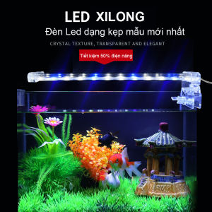 Đèn led kẹp 6W cho hồ cá hồ thủy sinh 25cm - 35cm 2 màu trắng xanh cao cấp - XILONG D20