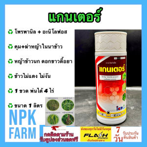 ลัดดา แกนเตอร์ ขนาด 1 ลิตร โพรพานิล+อะนิโลฟอส คุมฆ่าหญ้า ดื้อยา ในนาข้าว ใบแคบ ใบกว้าง กก หญ้าข้าวนก หญ้าดอกขาว ข้าวไม่แดง ไม่งัน npkplant