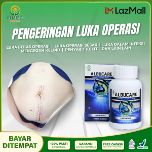Albucare Kapsul Albumin Ikan Gabus Mempercepat Penyembuhan Luka Operasi Melahirkan merekenerasi sel