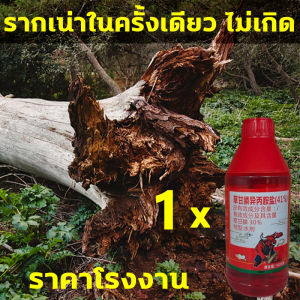 💥1 หยดรากเน่า💥ยาฆ่าต้นไม้ใหญ่ เข้มข้นสุด 200ml 1ขวดเท่ากับ20ขวด ยาฆ่าตอต้นไม้ ตรงไปที่ราก รากเน่ารากตาย ยาฆ่าตอไม้ใหญ่ บอกลาการตัดต้นไม้ด้วยตนเอง ไม่เป็นอันตรายต่อดิน ยากำจัดต้นไม้ ยาฆ่าหญ้า ยากำจัดต้นไม้ใหญ่ สารกำจัดกอไผ่ สารกำจัดต้นไม้