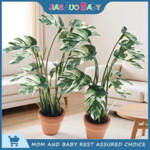 JiaShuo Baby Toy 1 12 Dollhouse mô phỏng monstera cây xanh trong chậu Dollhouse trang trí nhà vi cảnh quan vườn mô hình cây cảnh