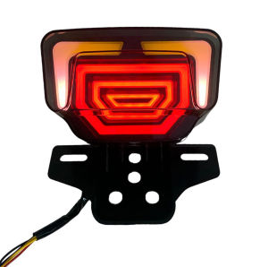 local delivery Universal Motorcycle brake light tail light assembly TMX 125 TMX 155 RUSI 125 150