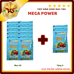Mua 10 tặng 2: Trừ Bệnh Thán Thư Rỉ Sắt Phấn Trắng Bã Trầu - TKS MEGA POWER: Chế Phẩm Vi Sinh Trừ Nấm Sinh Học