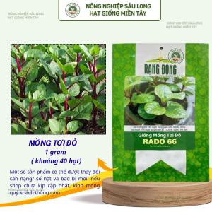 Hạt giống Mồng Tơi Đỏ Rado 66 (5g~100 hạt) dễ trồng ít sâu bệnh chịu nhiệt tốt trồng quanh năm