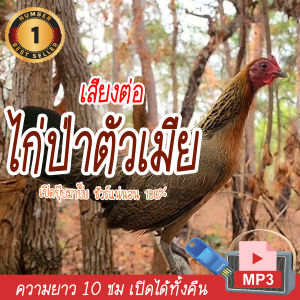 TJ Shop เสียงต่อไก่ป่าตัวเมีย แฟลชไดร์ฟ USB ต่อไก่ป่าตัวเมีย เสียงดังฟังชัด เสียงนกแท้ เสียงดังฟังชัด100% เข้าง่ายติดง่าย