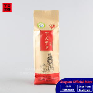 Xiaguan Tuocha 2020年 便装甲沱 . 十大名茶 / 2016年 便装甲沱（生普洱）100g*5pc| Bian Zhuang Jia Tuo (Raw Puer Tea) | Daily Tea| Yunnan Pu Er Tea| Tuo Cha| Black Tea| Healthy Tea| Chinese Tea| Teh Cina