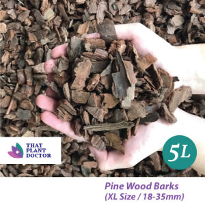 Pine Wood Barks(XL Size/18-35mm) (5L) (Suitable for garden soil bed mulching Potted plant etc)
