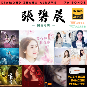 [170首] USB Pendrive Music 音乐USB 张碧晨国语专辑 mp3 超高音质 16gb 流畅播放 Diamond Zhang Songs 车载音乐