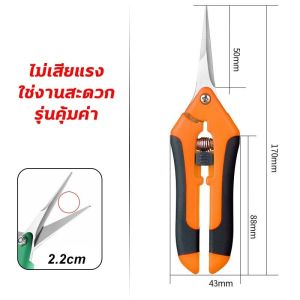 SK5วัสดุสแตนเลส ✂️1Sกรรไกรตัดกิ่ง ตัดกิ่งไม้เร็ว ประหยัดแรงงาน อุปกรณ์ตัดแต่งกิ่งมืออาชีพ กรรไกรตัดกิ่งด้ามยาว กรรไกรตัดกิ่งไม้ กรรไกรตัดกิ่งไม้สูง เก็บผลไม้บนที่สูง กรรไกรแต่งกิ่ง กรรไกรตัดกิ่งไม้ด้ามยาว กรรไกรด้ามยาว กรรไกรตัดผลไม้ กรรไกรเก็บผลไม้