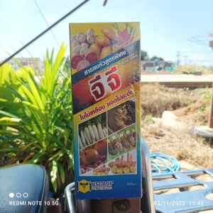 อะมิโนพืช จีจี อะมิโนสกัดพิเศษ 1ลิตร เพิ่มขนาด เพิ่มน้ำหนัก โตเร็วใช้ได้ทั้งทางใบ ฮอร์โมนสำหรับพืช ขิง หอม กระเทียม พืชตระกลูหัว