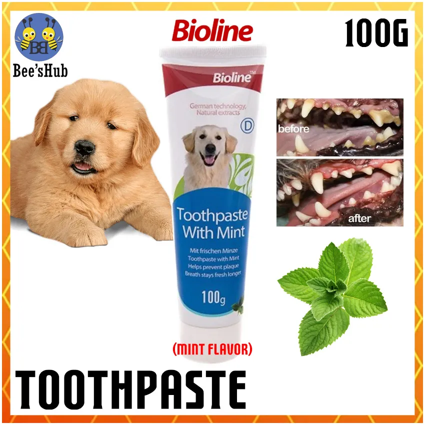 Canine toothpaste hotsell