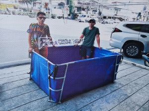 Collapsible pool Heavy Duty (Best for Indoor Fish farm business)