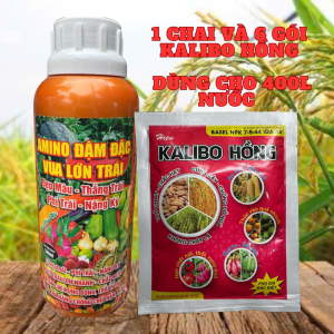 AMINO VUA LỚN TRÁI CHAI 500ML 1 CHAI VÀ 6 GÓI KALIBO HỒNG DÙNG CHO 400ML NƯỚC
