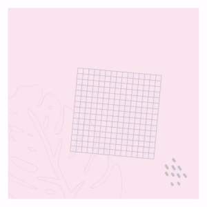 Lucky pink ต้นสยามพิ้งค์-ลัคกี้พิ้งค์-ซุปเปอร์พิ้งค์ #ตระกูลอโกลนีมา Aglaonema Super pink luckypink superpink