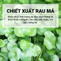 [MINI SIZE] Kem chống nắng Skin1004 Madagascar Centella Airfit Suncream Plus SPF50+ PA++++ 20ml. 