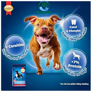 Thức ăn cho chó SmartHeart Power Pack cho chó giống vừa & lớn cơ bắp bao xá CHÍNH HÃNG 10kg -20KG