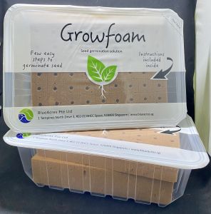 Growfoam- Seed Germination with foam 2 sheet refill Sprout seed Grow vegetable herbs Hydroponics Aquaponics - BlueAcres