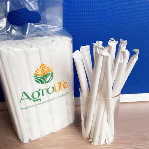 [KV] Phi 10 - Túi 250 ống hút giấy làm từ sợi mía