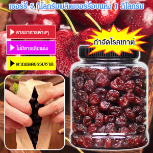 เชอร์รี่อบแห้งคุณภาพพรีเมียมเพื่อสุขภาพข้อต่อ ซูเปอร์ฟู้ดขนมขบเคี้ยวที่อุดมไปด้วยสารต้านอนุมูลอิสระ ผลไม้ธรรมชาติ 100% บรรจุ 250 กรัม