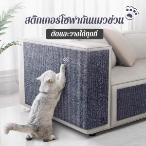 สามารถตัดได้ ด้ามจับ ติด