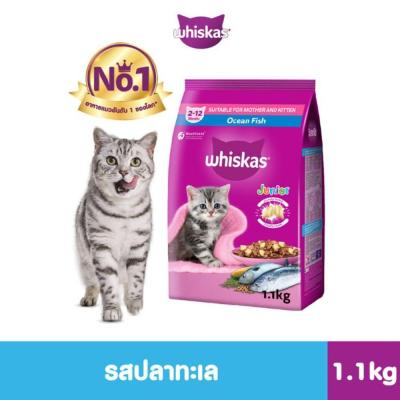 WHISKAS วิสกัส จูเนียร์ อาหารลูกแมว ชนิดแห้ง รสปลาทู / รสปลาทะเล / รสปลาทูน่าแซลมอน 1.1 กก