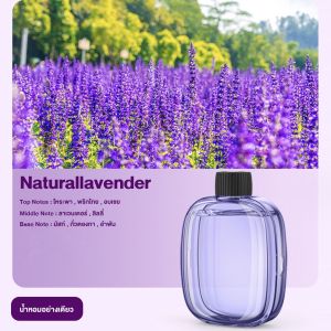 พ่นอโรมา เครื่องฟอกอากาศอโรมา กระจายกลิ่นหอมยาวนาน กลิ่นหอมยาวนาน ฟอกอากาศ ข้อบังคับ 4 สปีด