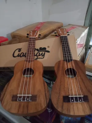 Ukulele senar 4 Cowboy Paladin original