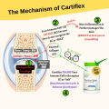 [Wellcare] NOVA Cartiflex Flextab Cartilage Collagen Type 2 Collagen Type II Joint and Cartilage Care. 
