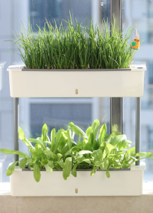 Layered Gardening Pot for Vegetables and Flowers Self Watering Pot Indoor Gardening Pot White Porcelain Pot PP Plastic High Heat Resistance Material