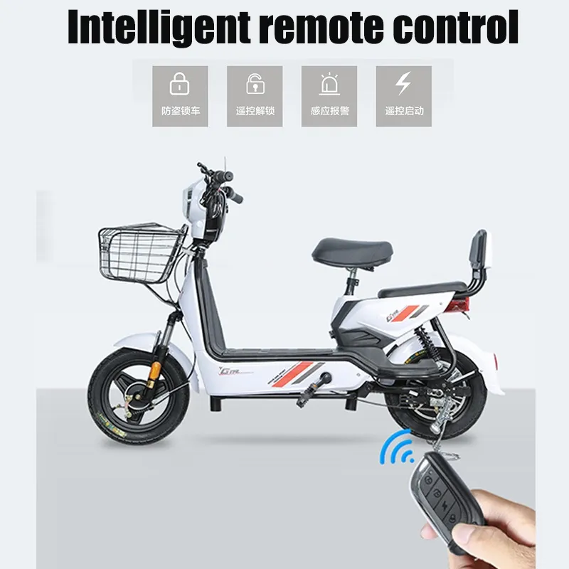 48V Electric Bike e Bike Small Battery Car Electric Scooter with