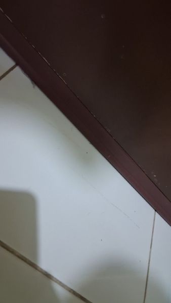 Buyer review video 3