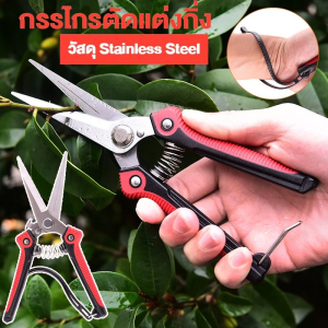 Blees กรรไกรตัดกิ่ง คีมตัดกิ่งไม้ กรรไกรตัดแต่งกิ่ง ตกแต่งกิ่ง ปลายแหลม เก็บผลไม้ กรรไกรสแตนเลส เครื่องมือจัดทำสวน