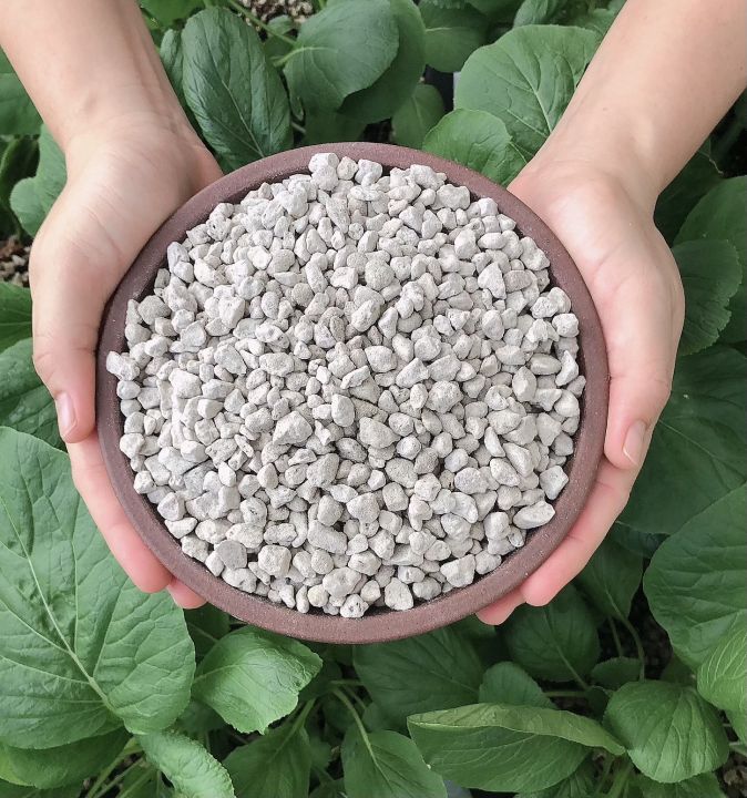 Pumice Stone (Bonsai/Succulent/Plants) 1 Litre | 4mm-8mm | | Lazada