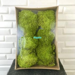 Lumut Box Lumut Artificial Dekorasi Taman Dekorasi Ruangan Aesthetic