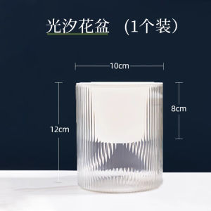 SG Clear Automatic Water Absorption Self Watering Hydroponic Flower Pot Planter 15X17cm