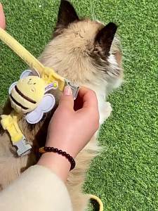 2026 Hot Sale [ Shipped from China ] Cat and Bee Leash Cute Cat Walking Rope Harness Vest-style Leash Dog Walking Rope Dog Leash B3
