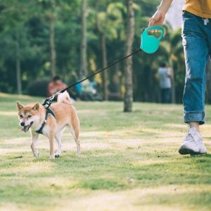 Automatic dog leash สายจูงสุนัขออโต้เมติก เชือกสายจูงไนล่อน & พลาสติก ยาว 3ม.สำหรับสัตว์เลี้ยง สายจูงสุนัข