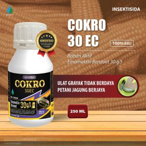 Mahakam Cokro 30 EC 250 ml Insektisida Pestisida Pembasmi Hama Tanaman Jagung