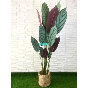 Pohon Artificial Tanaman Hias Daun Callathea Ungu T150 Latex Cover Pot Anyaman Eceng Gondok Dekorasi Rumah
