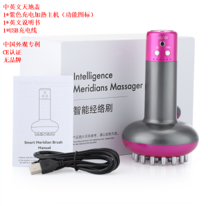 Bàn Chải Mát Xa Kinh Tuyến Chạy Điện Máy Đốt Cháy Mỡ EMS Trị Liệu NẠO VÉT Bạch Huyết Cổ Lưng Cơ Thể